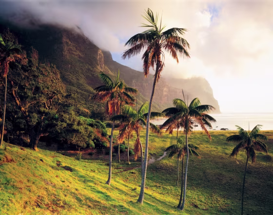 Image: Lord Howe Island